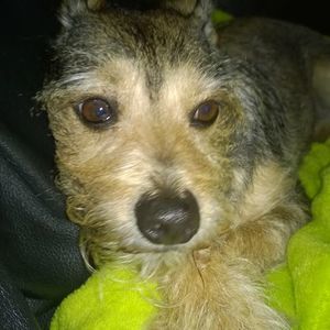 Meet your Posher, Sandra